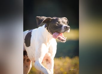 Dalton - Zeit endlich zur Ruhe zu kommen