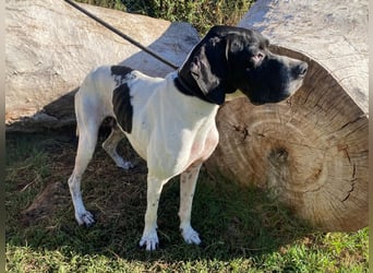 Dalton - Zeit endlich zur Ruhe zu kommen