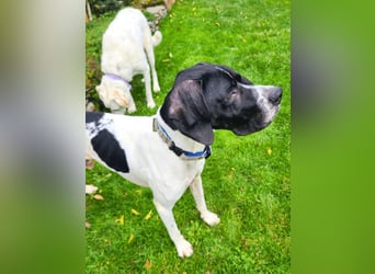 Dalton - Zeit endlich zur Ruhe zu kommen