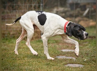Dalton - Zeit endlich zur Ruhe zu kommen