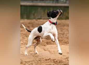 Dalton - Zeit endlich zur Ruhe zu kommen