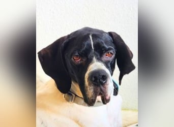 Dalton - Zeit endlich zur Ruhe zu kommen