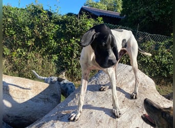 Dalton - Zeit endlich zur Ruhe zu kommen