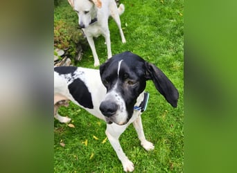 Dalton - Zeit endlich zur Ruhe zu kommen