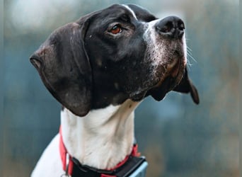 Dalton - Zeit endlich zur Ruhe zu kommen