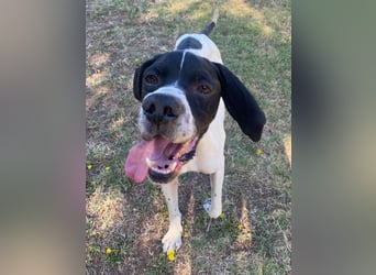 Dalton - Zeit endlich zur Ruhe zu kommen