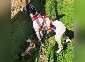 Dalton - Zeit endlich zur Ruhe zu kommen