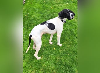 Dalton - Zeit endlich zur Ruhe zu kommen