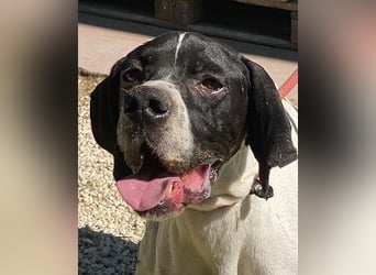 Dalton - Zeit endlich zur Ruhe zu kommen