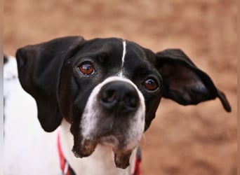 Dalton - Zeit endlich zur Ruhe zu kommen