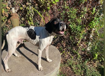 Dalton - Zeit endlich zur Ruhe zu kommen