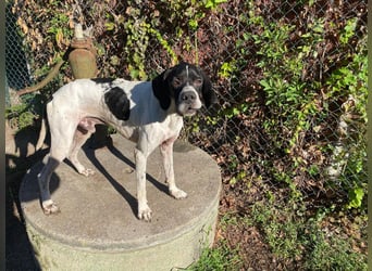 Dalton - Zeit endlich zur Ruhe zu kommen