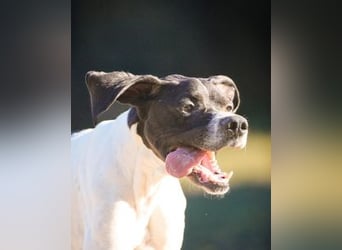 Dalton - Zeit endlich zur Ruhe zu kommen