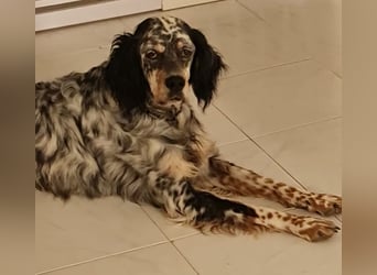 Astrid - hat schon mal geübt