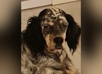 Astrid - hat schon mal geübt