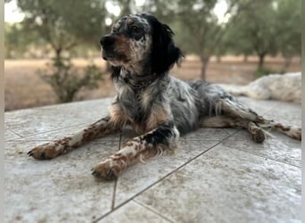 Astrid - hat schon mal geübt