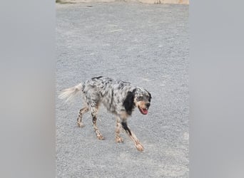 Astrid - hat schon mal geübt