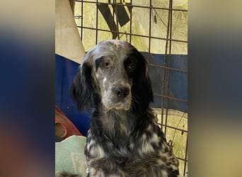 Helvetia - Angst beginnt im Kopf ? Mut auch!