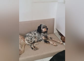 Astrid - hat schon mal geübt