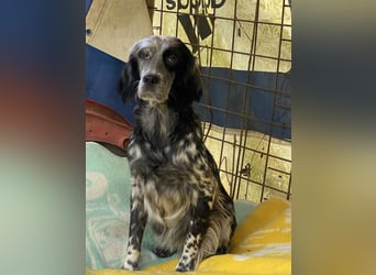 Helvetia - Angst beginnt im Kopf ? Mut auch!