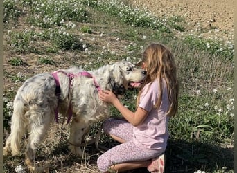 Marte - ...SOS - möchte eine Band gründen