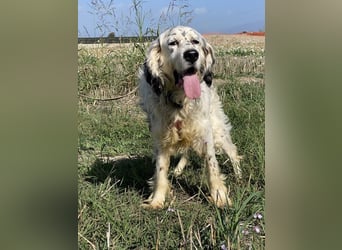 Marte - ...SOS - möchte eine Band gründen