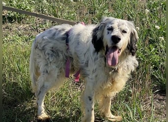 Marte - ...SOS - möchte eine Band gründen