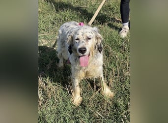 Marte - ...SOS - möchte eine Band gründen