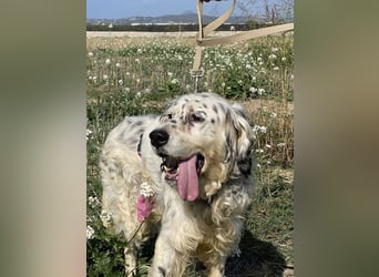 Marte - ...SOS - möchte eine Band gründen