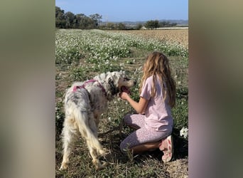 Marte - ...SOS - möchte eine Band gründen