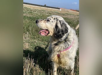 Marte - ...SOS - möchte eine Band gründen