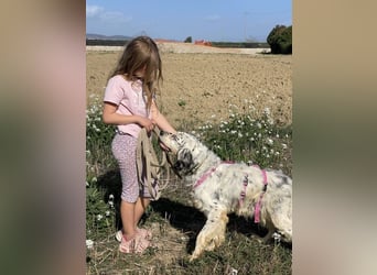 Marte - ...SOS - möchte eine Band gründen