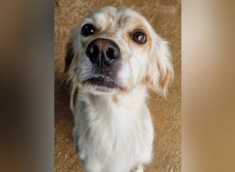 Kiro ist ein bildhübsche Zauberkerl
