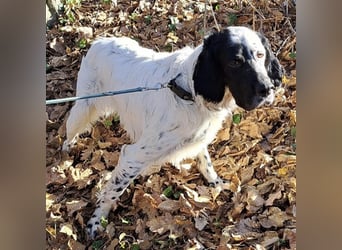 Jacky braucht Kenner