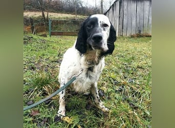 Jacky braucht Kenner