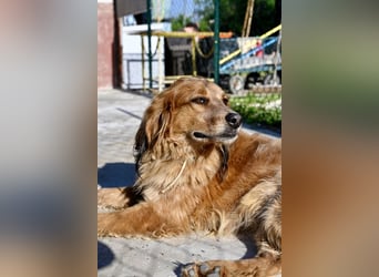 Eros - Sie war so klein, seine Welt