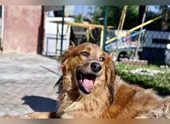 Eros - Sie war so klein, seine Welt