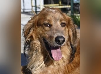 Eros - Sie war so klein, seine Welt