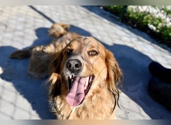 Eros - Sie war so klein, seine Welt