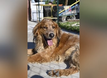 Eros - Sie war so klein, seine Welt