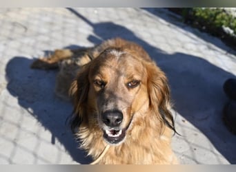 Eros - Sie war so klein, seine Welt