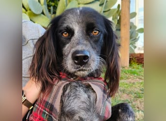 Carlo -  wenn du Lust auf Action, viel Nähe und gemeinsame Abenteuer hast, bewirb dich!