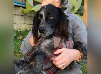 Carlo -  wenn du Lust auf Action, viel Nähe und gemeinsame Abenteuer hast, bewirb dich!