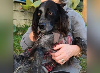 Carlo -  wenn du Lust auf Action, viel Nähe und gemeinsame Abenteuer hast, bewirb dich!