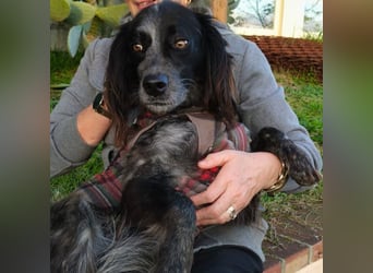 Carlo -  wenn du Lust auf Action, viel Nähe und gemeinsame Abenteuer hast, bewirb dich!