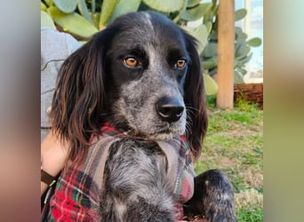 Carlo -  wenn du Lust auf Action, viel Nähe und gemeinsame Abenteuer hast, bewirb dich!