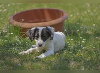 Malou - Fräulein Malou guckt erstmal