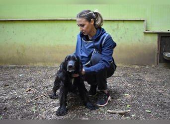 Ashia - möge ihr Glücksfünkchen zu hellem Licht werden