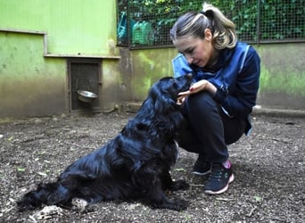 Ashia - möge ihr Glücksfünkchen zu hellem Licht werden