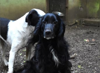 Ashia - möge ihr Glücksfünkchen zu hellem Licht werden